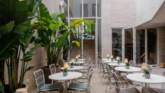 Avenida Restaurant & Bar - 6