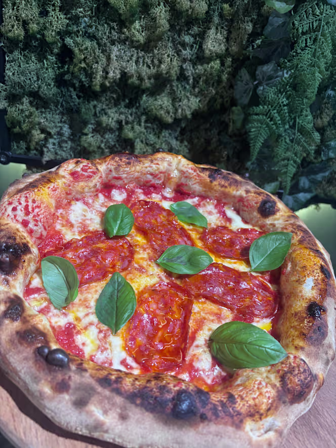 Battilardo - 2