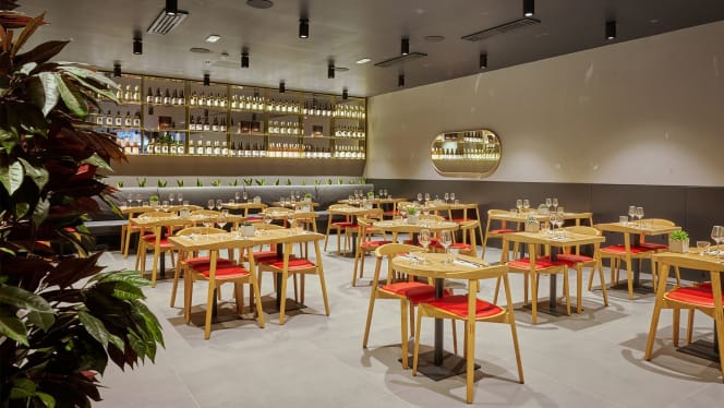 Obicà Mozzarella Bar Serravalle - 6