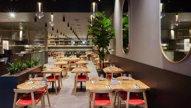 Obicà Mozzarella Bar Serravalle - 9