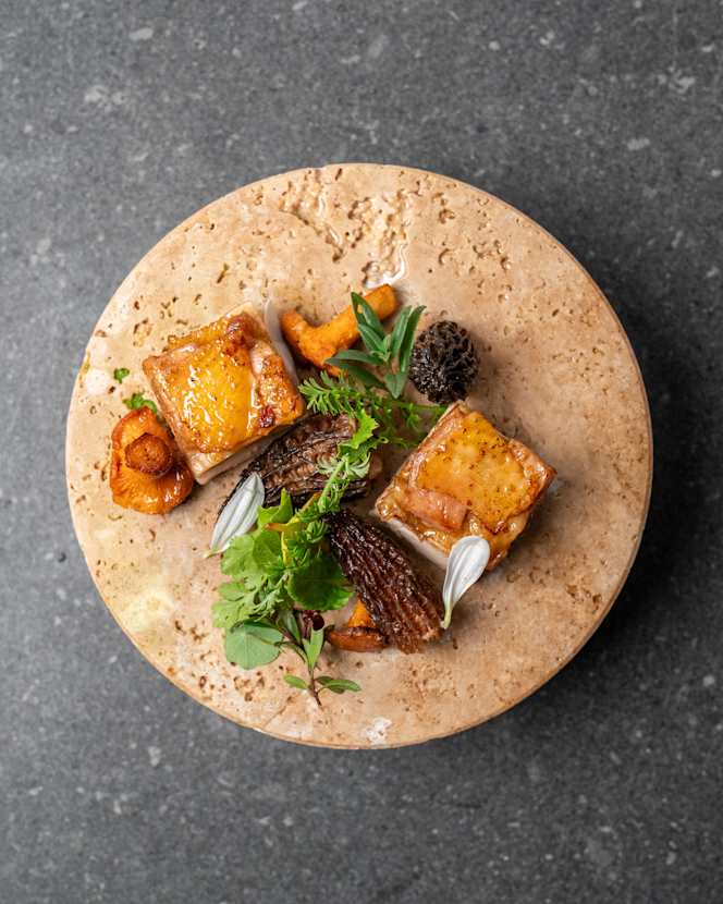 La Merla Osteria Boutique - 1