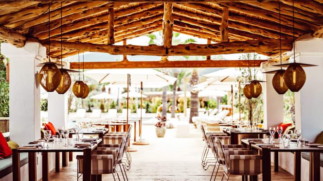 Los Olivos by Petunia - 9