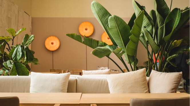 Restaurante Único CCB - Conceito Solidário - 8