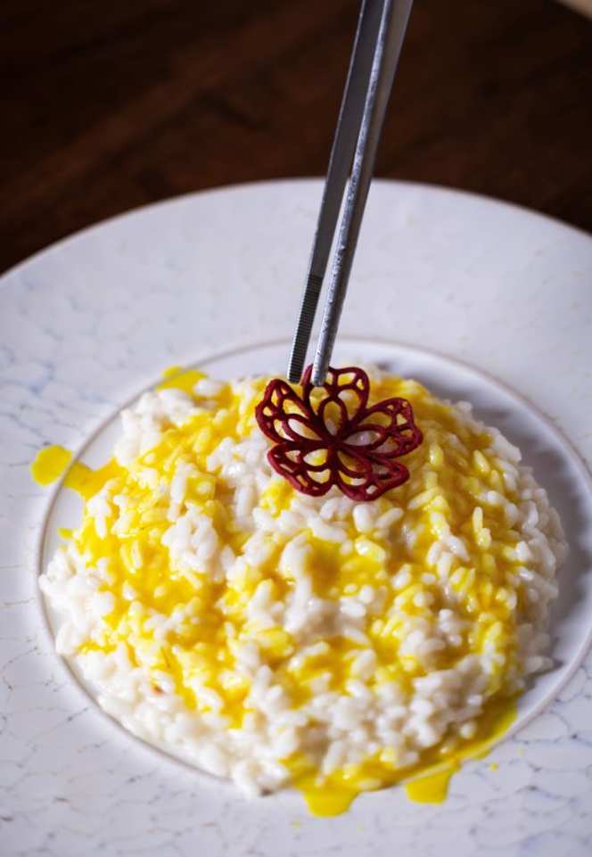 Castello Vicchiomaggio - 9