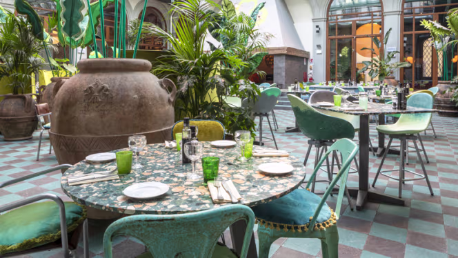 Cecchini in Città - Firenze - 4