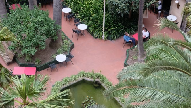 El Jardí de L'Ateneu - 3