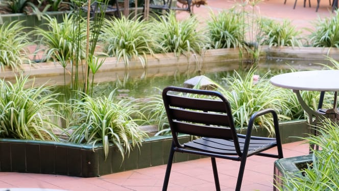 El Jardí de L'Ateneu - 2