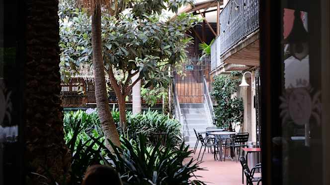 El Jardí de L'Ateneu - 1