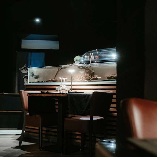 Sushiro Brindisi - 8