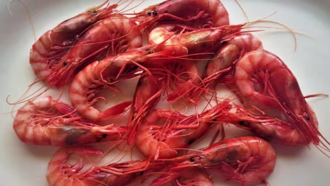 Los Calderos de Julia - 2