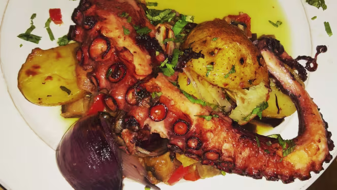 Invicta Madragoa - 2