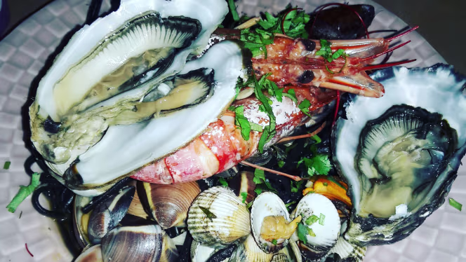 Invicta Madragoa - 3