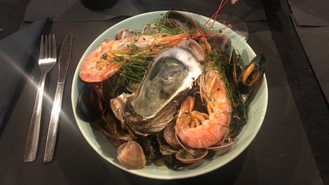 Invicta Madragoa - 6