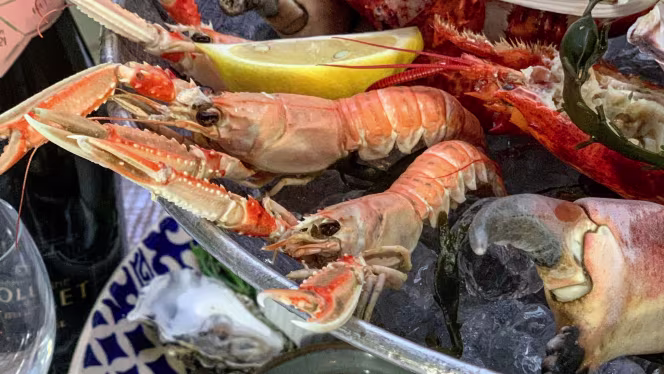 Dinner Cruise Amsterdam - Rondvaart met eten - 2