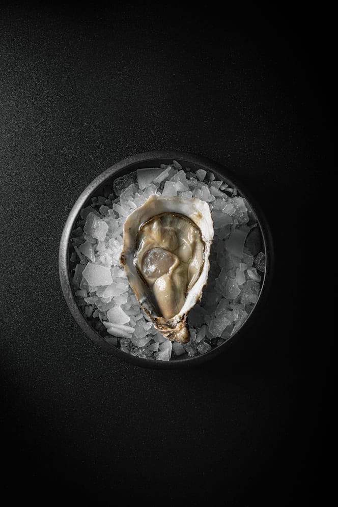 Informal Va De Bo - 2