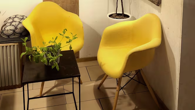 Bavarian Oriental - 8