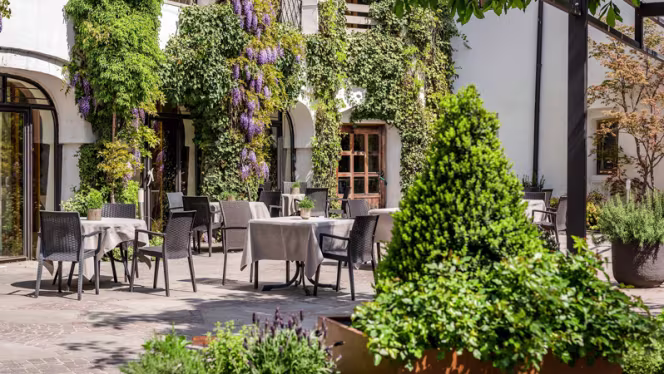 Ristorante THEDL e Pizzeria SEM - 9