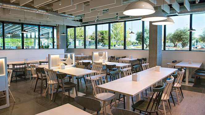 El Rincón De Los Olivos - 9