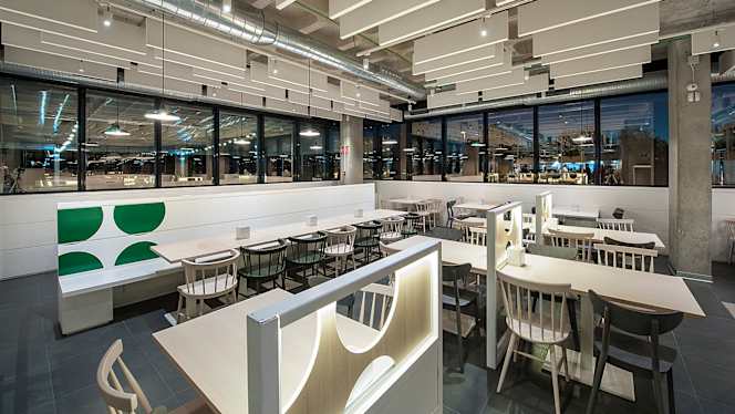 El Rincón De Los Olivos - 5