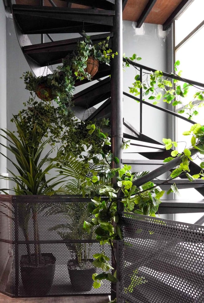 Machina Resto Bar - 1