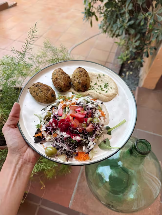 El Jardinet del Kombu - 6