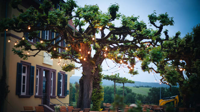 Amitié – La Cuisine du Château - Hartmannswiller - 9