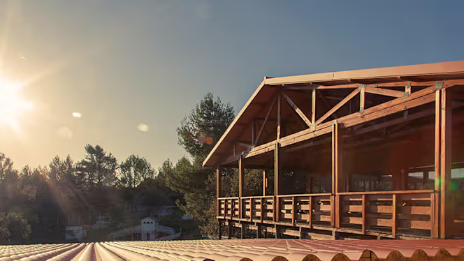 Bonapartit - Bucelas - 2