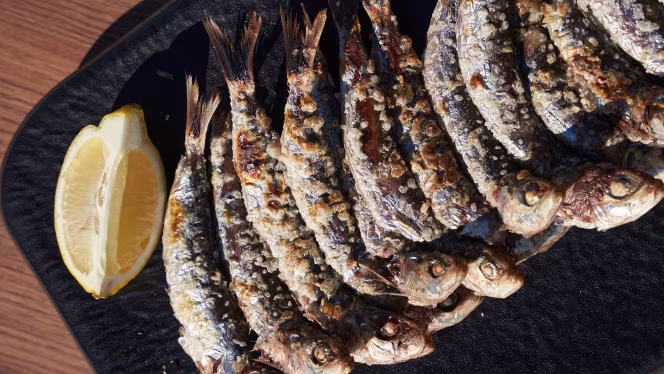 Oasis Beach Club - 3