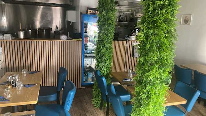 Trung trung karmo - 5