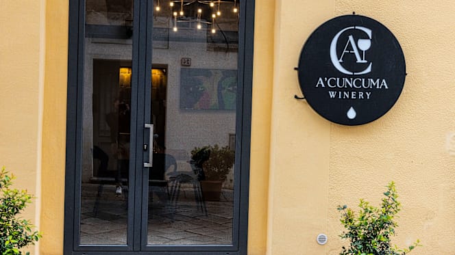 A Cuncuma Winery - 3