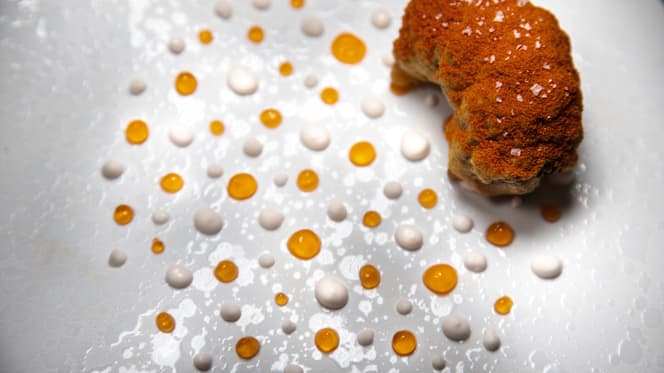 A Cuncuma Winery - 2