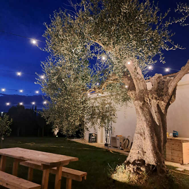 Il Frantoino - 5