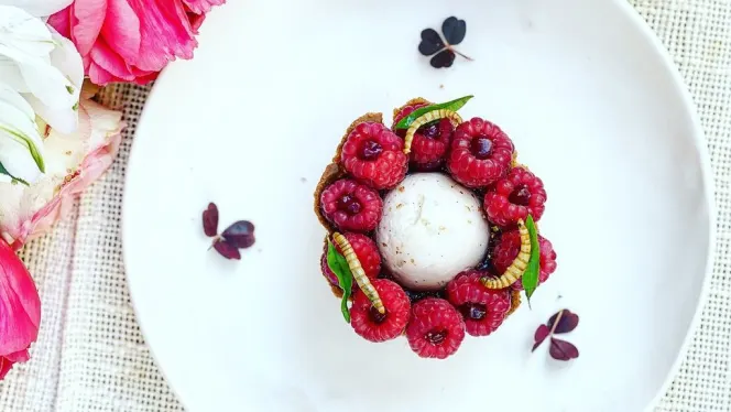 Inoveat - L'Insecte Gastronome - 0