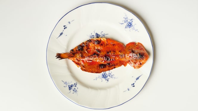 Maison Capriccioli - Torino - 3