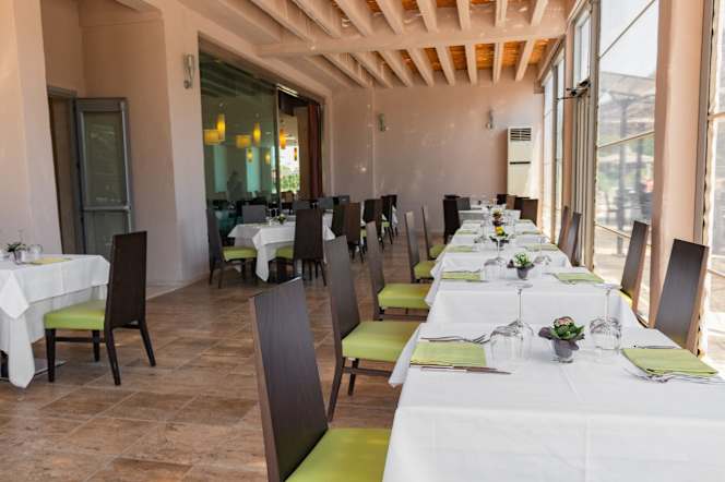 Basiliani Ristorante Gli Ulivi - 8