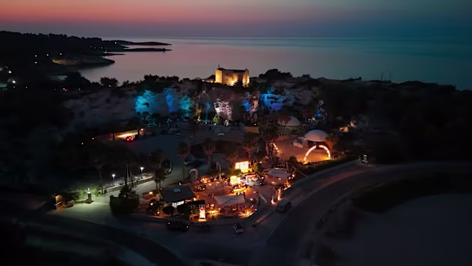 Habibi Taste & Vibes - 0