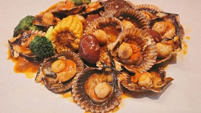 Folie Crabe Rotterdam - 5