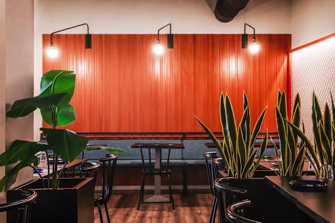 Maruxiña, O New Furancho - 0