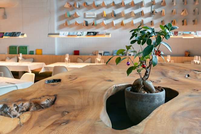 Fiore Cucina in Libertà - 7