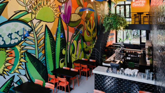 The Wings Paradise - 0