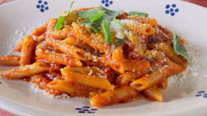 Saporito - 4