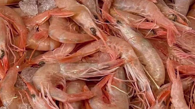 Oltre il Gusto - Castiglione Della Pescaia - 3