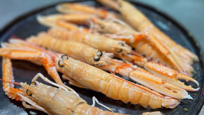 Oltre il Gusto - Castiglione Della Pescaia - 7