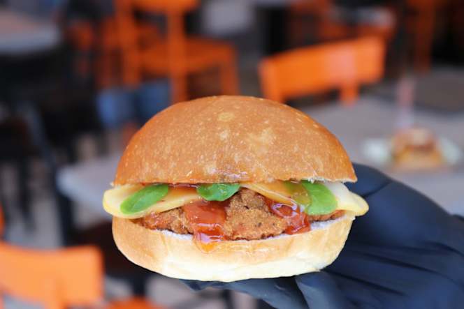Burger Cheese - 6