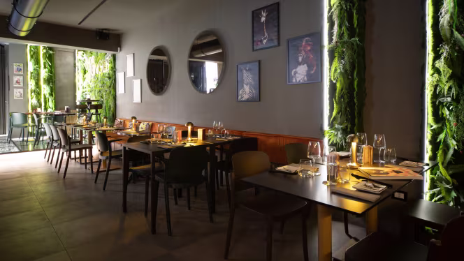 The Jungle Sushi & Tapas Bar - 5