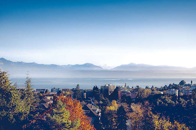 La table d'hôtes de la Clinique de Morges - 7