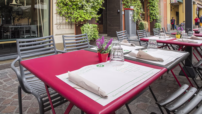 Sartoria Gastronomica - 5