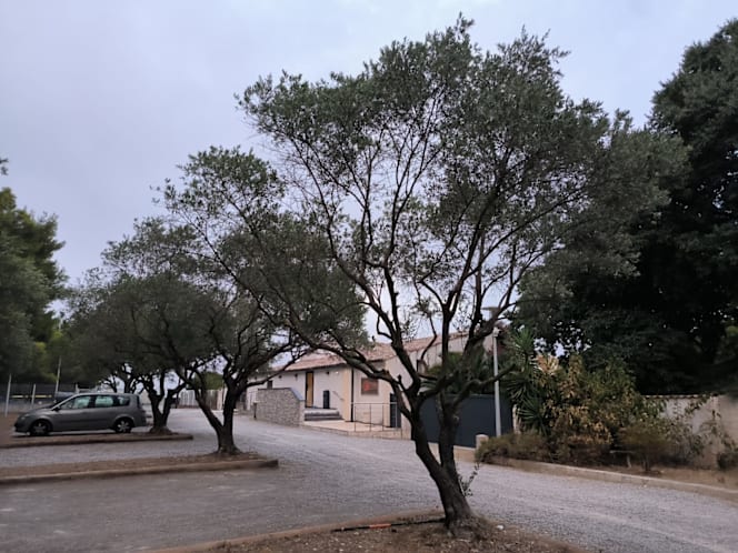 Les Jardins de la Castelle - 5