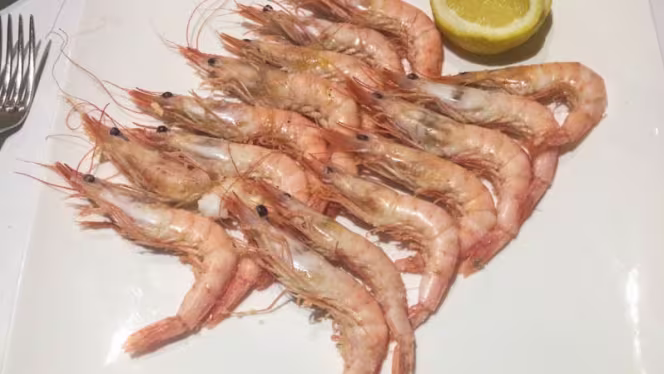 La Taberna del Puerto - 5