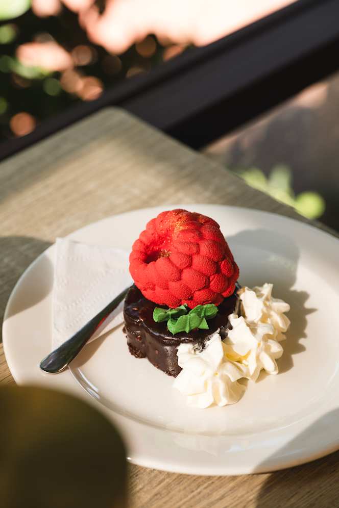 Cup Cake - 4